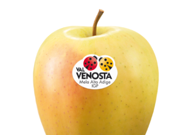 Manzana de Val Venosta (VI.P)