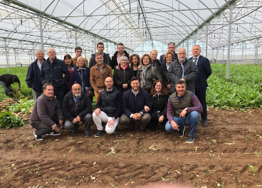 Carrefour en Verduras Curro