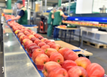 alimentos en una fábrica