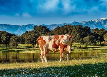 La Finca compensa sus emisiones de CO2