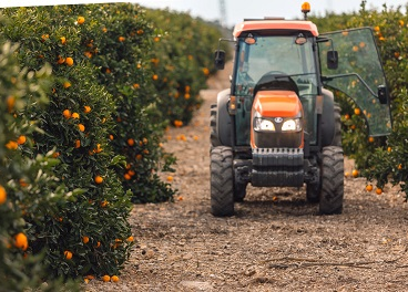 Bollo Natural Fruit factura 500 millones
