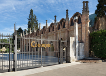 Bodega de Codorníu, vendimia 2026