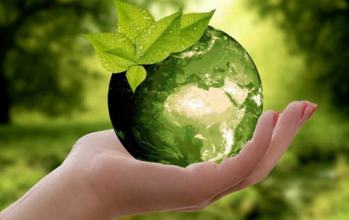 Premio a Mejor Acción Ambiental 2026
