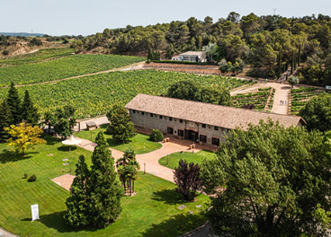 Viñas del Vero en la D.O. Somontano