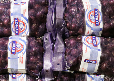 Grupo Lomar factura 60 millones de euros