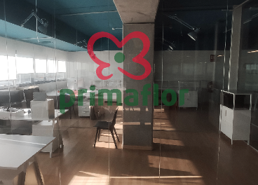 Nueva sede de Primaflor en Madrid