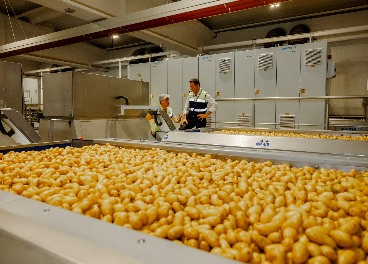 Nuevo plan estratégico de Patatas Meléndez
