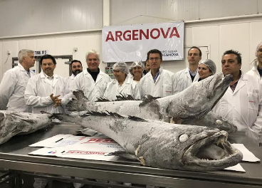 Alberto Núñez Feijóo, en la planta de Argenova