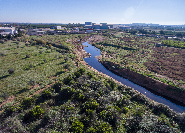 Proyecto Cañaveral de Heineken