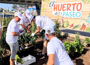 Carmila lanza un huerto terapéutico