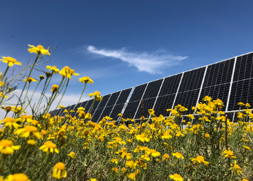 Paneles solares Nestlé