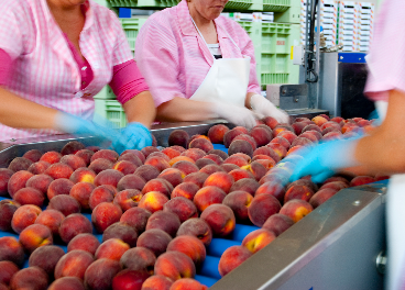 Trabajadoras de HaciendasBio