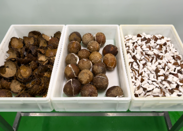 Vicente Peris impulsa la innovación