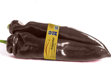 Pimiento gourmet Sweet Palermo Chocolate