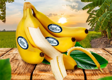SanLucar lanza nuevas bananas premium