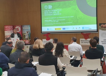 IGP Ternera Gallega, estudio rentabilidad 