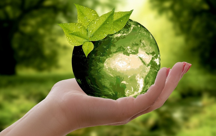 Premio INFORETAIL a Mejor Acción Ambiental