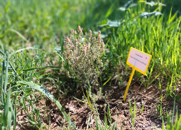 Nestlé Waters fomenta la biodiversidad en Viladrau