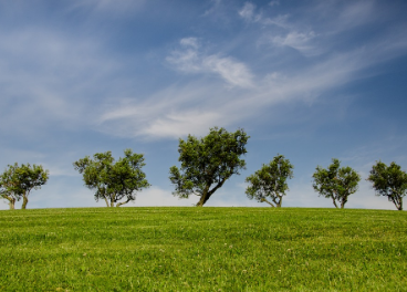 Campo ecológico