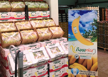 CMR Group presenta la marca Banarica