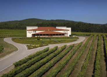 Bodega Terras Gauda