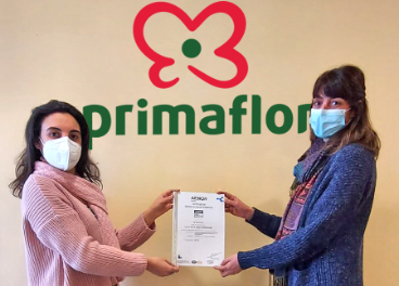 Entrega ISO 14001 a Primaflor