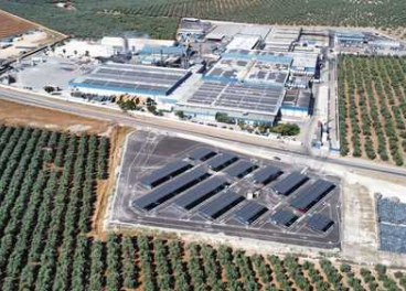 Agrosevilla cierra 2025 con 196 millones de euros 