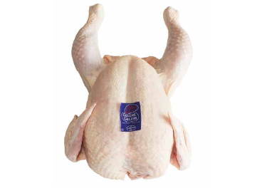 Pollo de Gallus Gallus (VMR)
