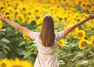 Campo de girasol