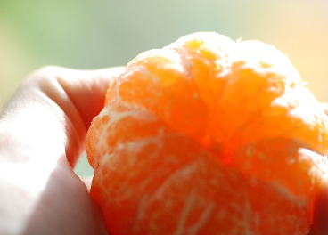 Imagen de una mandarina Orri