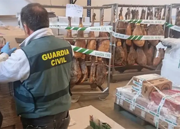 Productos falsificados, Euipo