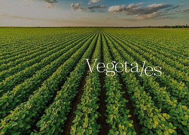 Sojasun y Foodys se incorporan a Vegetales