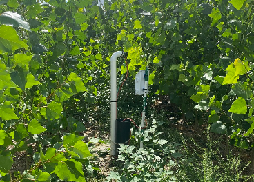 Heineken planta un filtro verde