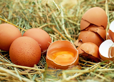 Crecimeinto de los huevos, Inprovo