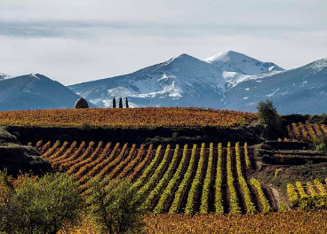 Rioja acogerá el World’s Best Vineyards 2023