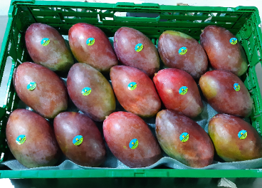 Mango Calidad y Origen Carrefour
