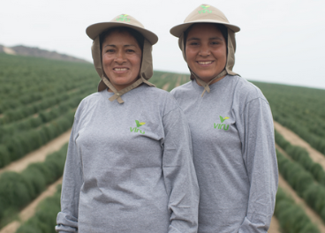 Virú compra Superior Foods International