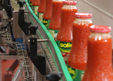 Exportaciones de tomate Solís
