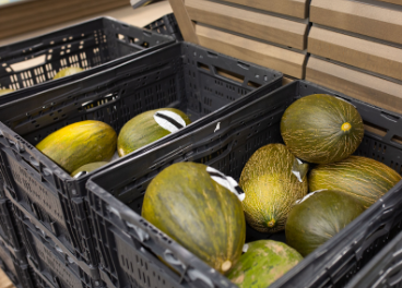 Melones nacionales en Aldi