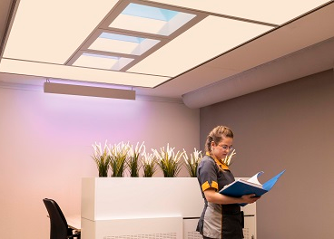 La importancia de la luz natural en la tienda