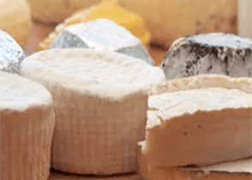 Savencia compra Quatá Alimentos