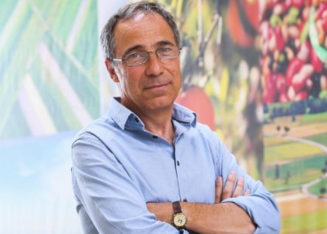 Vicente Domingo, director de Vegetales