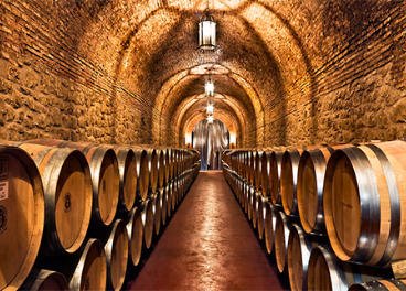 Vintae y Bodegas Riojanas