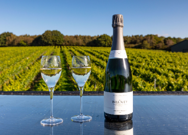 Henkell compra Bolney Wine Estate