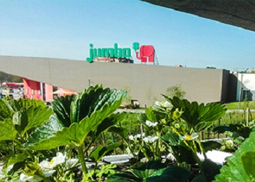 Tienda de Jumbo (Auchan Retail) en Portugal