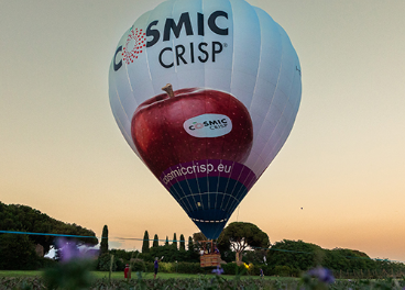 Nueva temporada de la manzana Cosmic Crisp 