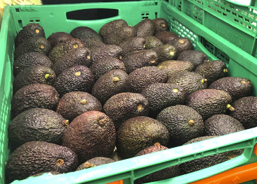 Caja de aguacates de Mercadona