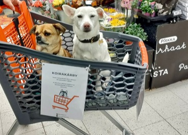 Carritos para perros en el supermercado