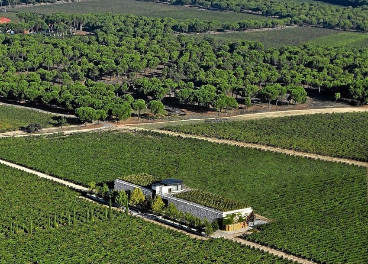 Finca adquirida por Valdecuevas