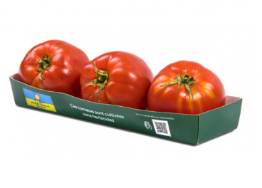 Tomates de Carrefour Quality Line